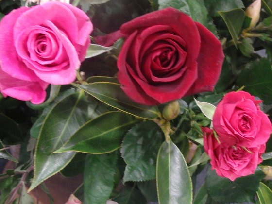 a0054240_22262642.jpg