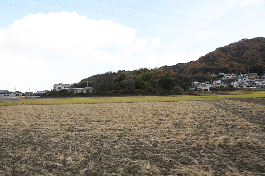 「山ノ神古墳」現地説明会♪_d0058941_1944210.jpg