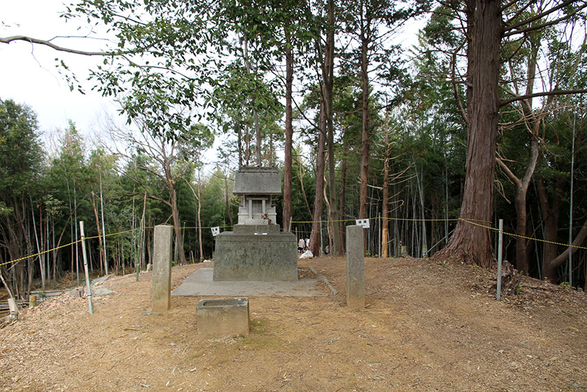 d0058941_208091.jpg