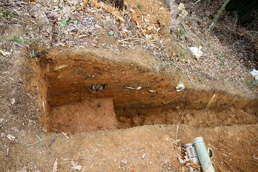 d0058941_209361.jpg