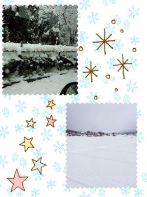 富山(((o(*゚▽゚*)o)))雪・雪・雪★_a0258349_23202465.jpg