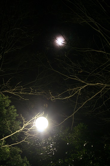 e0126350_13351164.jpg