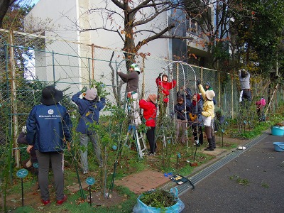 12月14日月例会報告/つるバラの誘引作業_a0094959_22394977.jpg