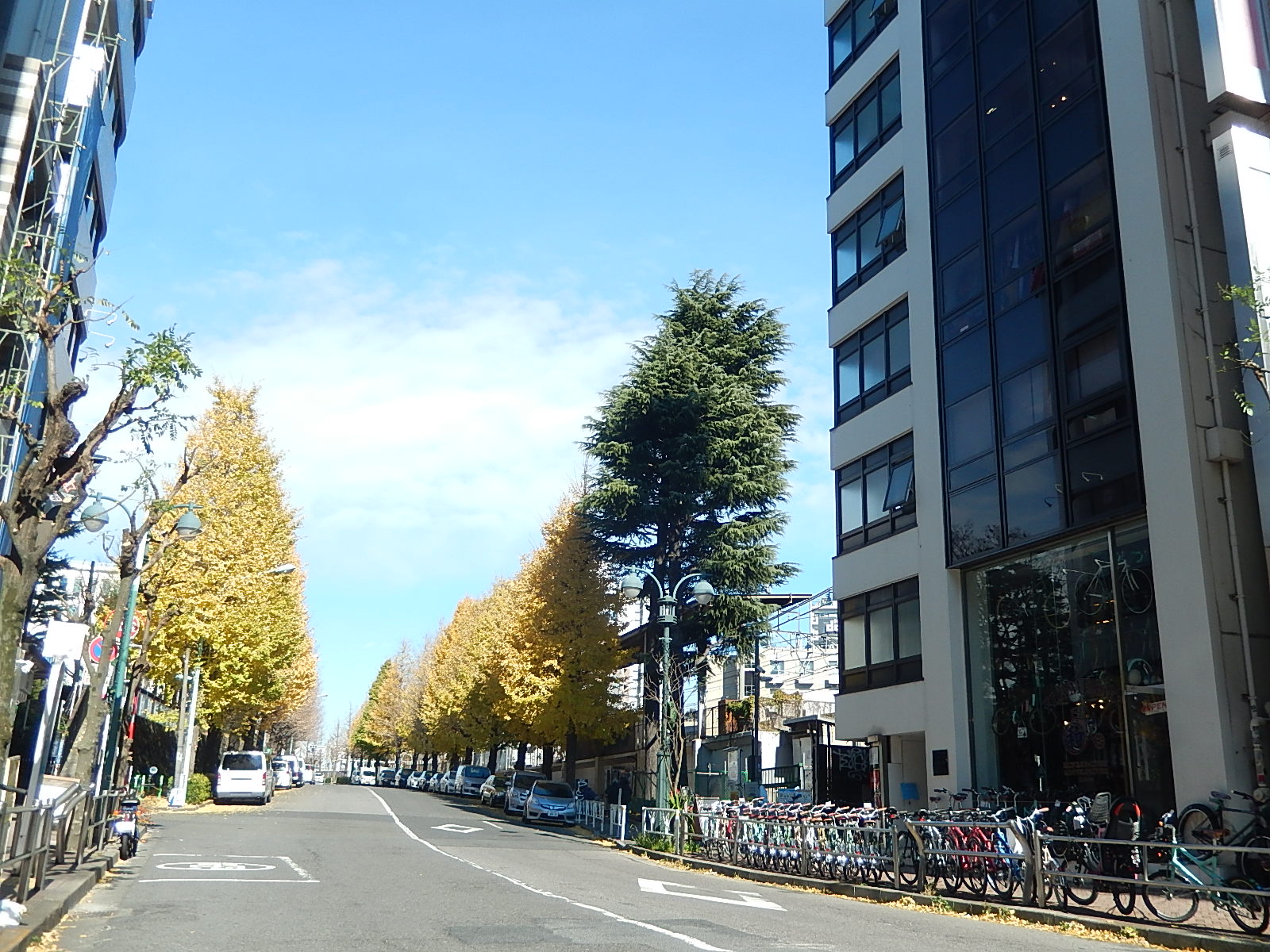 12月14日 渋谷 原宿 の自転車屋 FLAME bike前です_e0188759_1223660.jpg
