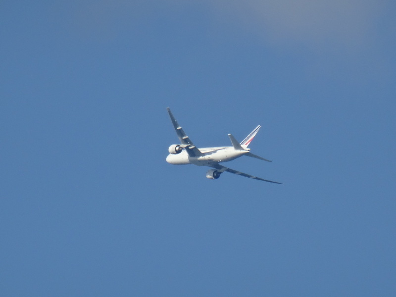 c0108460_13503624.jpg
