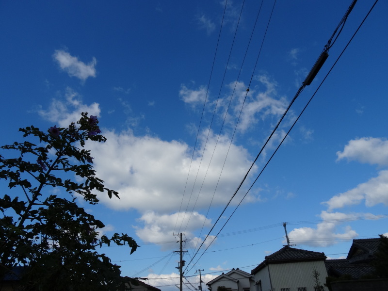 c0108460_13503780.jpg