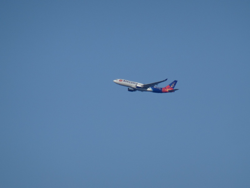 c0108460_13504115.jpg