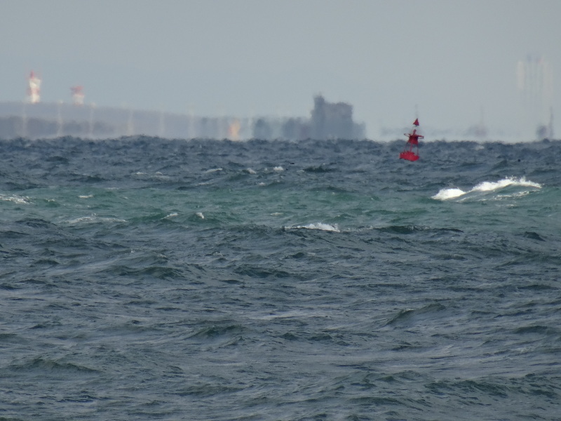 c0108460_13555142.jpg