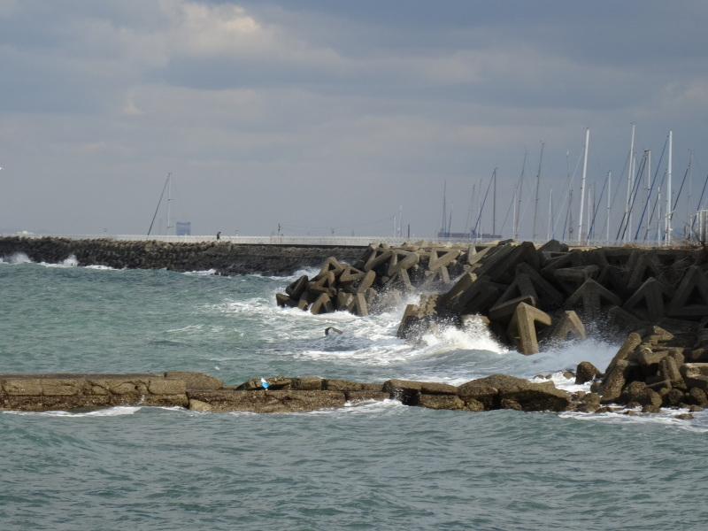 c0108460_13555318.jpg