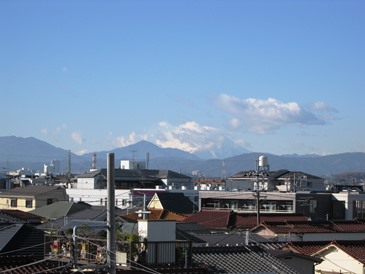お見合の朝、思わぬアクシデントが!!_f0291565_12212312.jpg