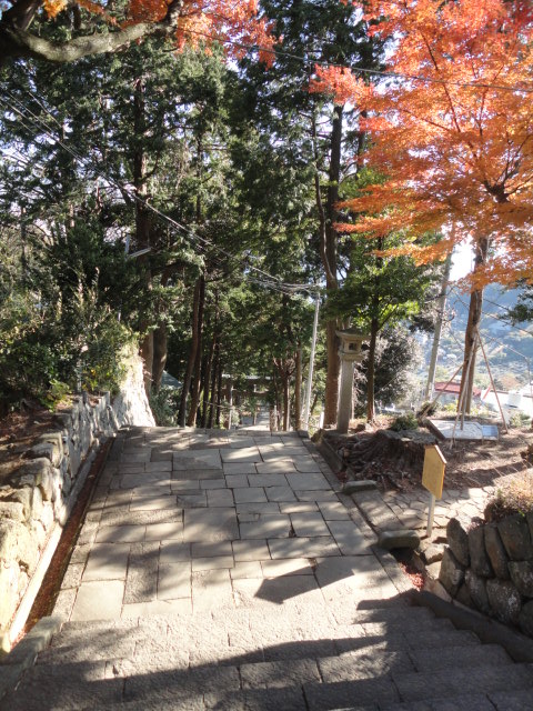 d0109373_02108.jpg