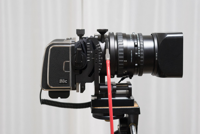 HASSELBLAD 「CFV-50c」で「Flex Body」を使う : BobのCamera HASSELBLAD 「CFV-50c」で「Flex Body」を使う : BobのCamera