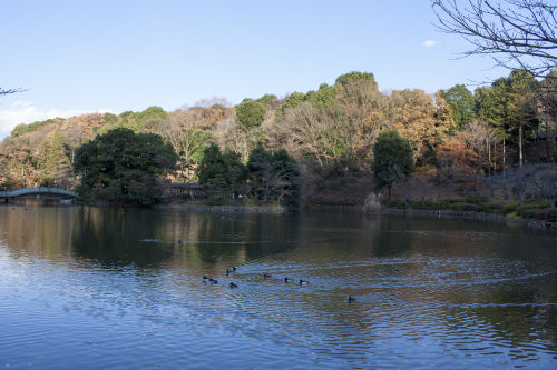 町田りす園に行って来た擬音_d0039479_22130677.jpg