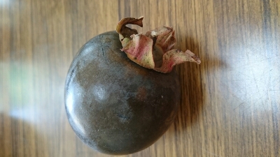 f0188479_95176.jpg