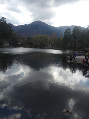筋湯温泉~由布院へ_d0195183_2120038.jpg