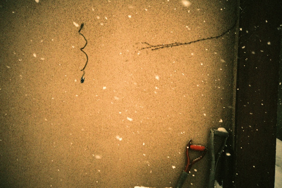 e0051186_17115349.jpg