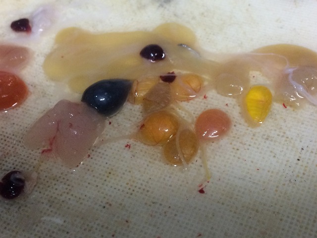 ニガ玉_d0268290_813498.jpg