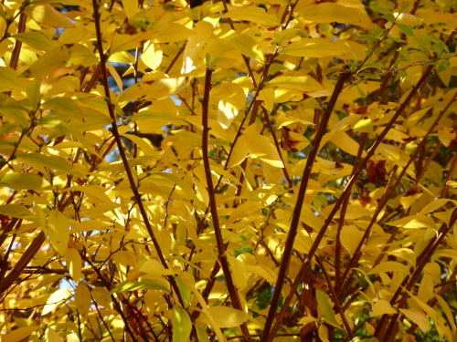 b0321595_00154938.jpg