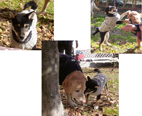 d0282395_2059036.png