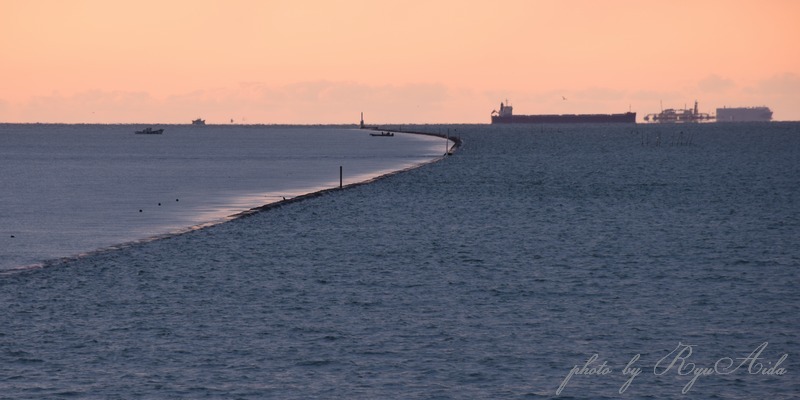 南は海_f0332795_22120416.jpg