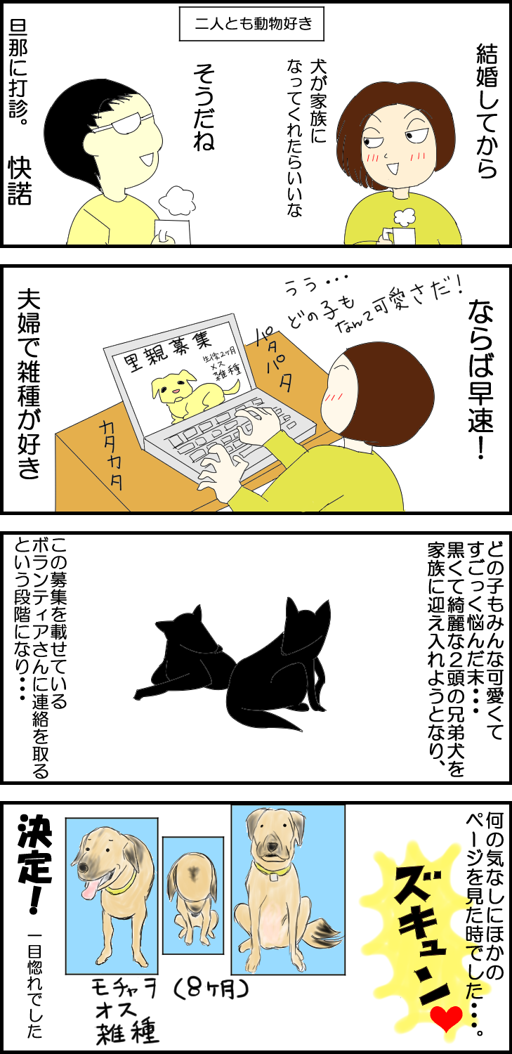 b0332699_15241815.png