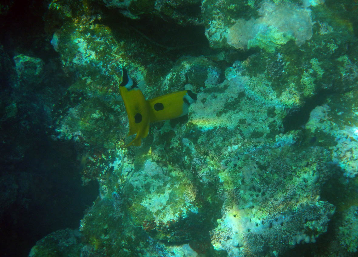 e0064400_0135672.jpg