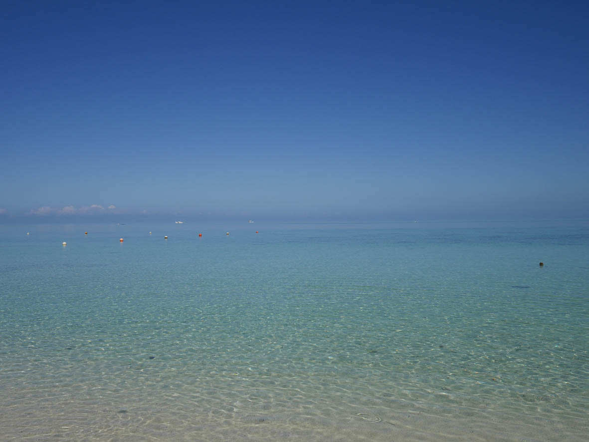 e0064400_0141936.jpg