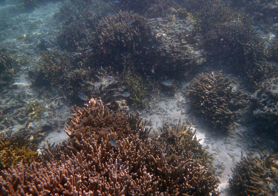 e0064400_014577.jpg