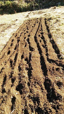 e0270403_164453.jpg