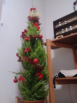 クリスマスツリーでアロマ_d0272805_1747369.jpg