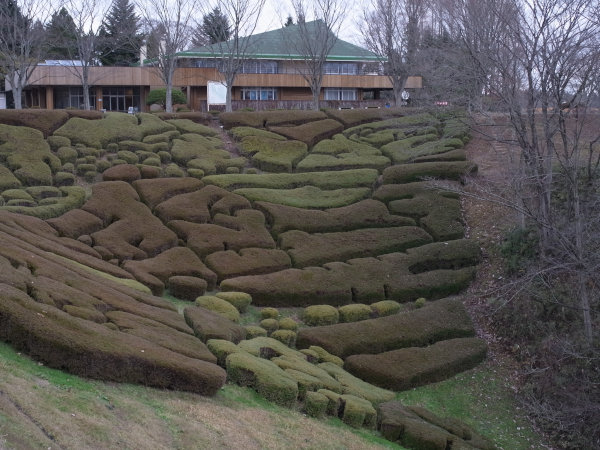 e0203009_235112.jpg