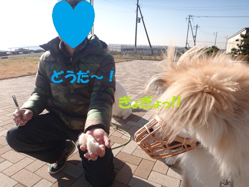 続・太雅くんのお尻尾が~(^_^;)_f0121712_1654991.jpg