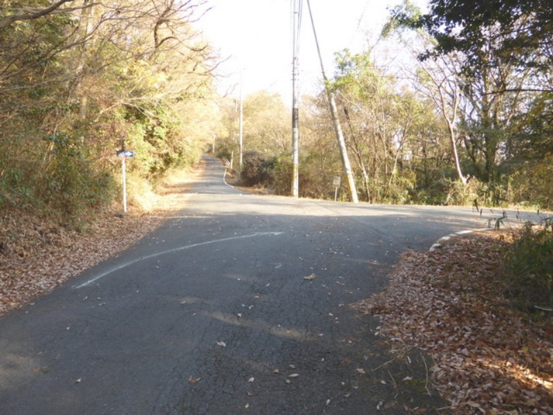 b0174217_1459984.jpg