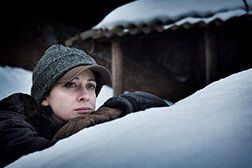 第27回東京国際映画祭 アイス フォレスト ここなつ映画レビュー