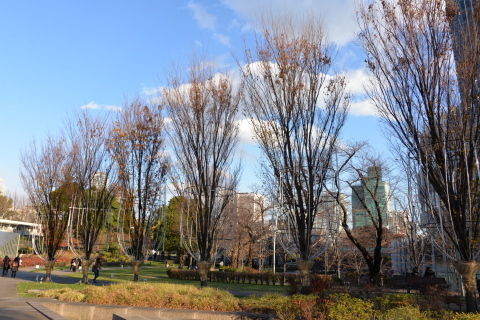 e0335926_09164711.jpg