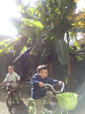 b0080027_14214252.jpg