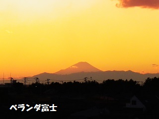 b0102728_1657156.jpg