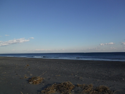 a0284729_9493074.jpg