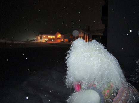 雪遊び~(1)_b0177436_12315243.jpg
