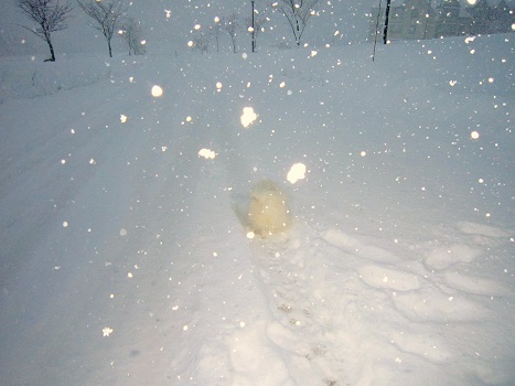 雪遊び~(1)_b0177436_12585645.jpg