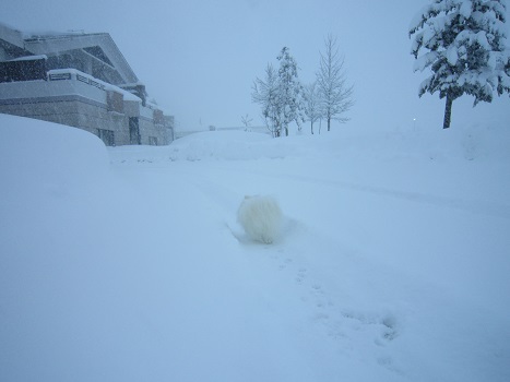 雪遊び~(1)_b0177436_12595074.jpg