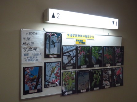 フェスタ’14の様子 3_e0211937_11314451.jpg