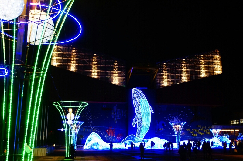a0245339_8103267.jpg