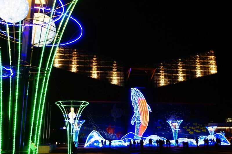 a0245339_8104372.jpg