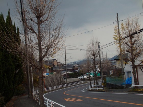 a0054240_21201190.jpg