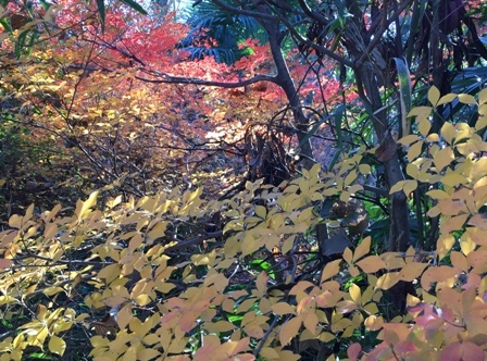 b0330040_21243083.jpg