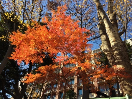 b0330040_21365638.jpg