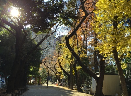 b0330040_21385185.jpg