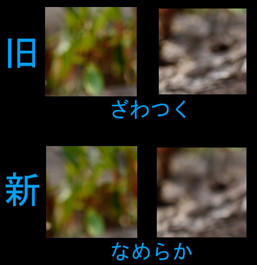 ニコン新旧マクロレンズ比較②_f0346040_16140584.jpg