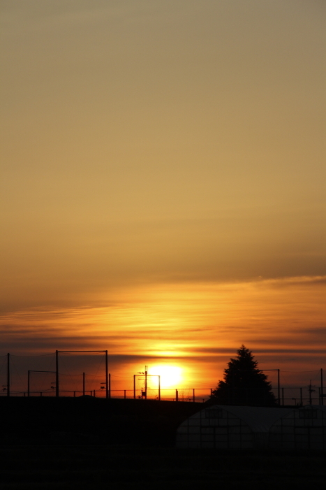 f0281446_07332610.jpg